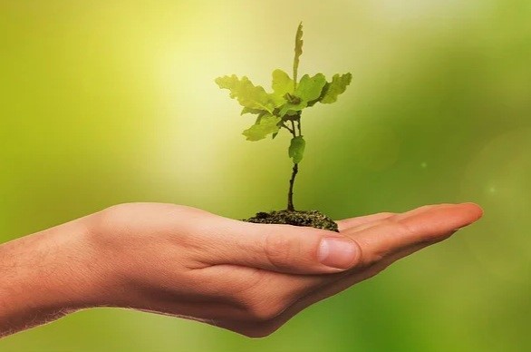 sustentatbilidade-ilustra-pixalbay