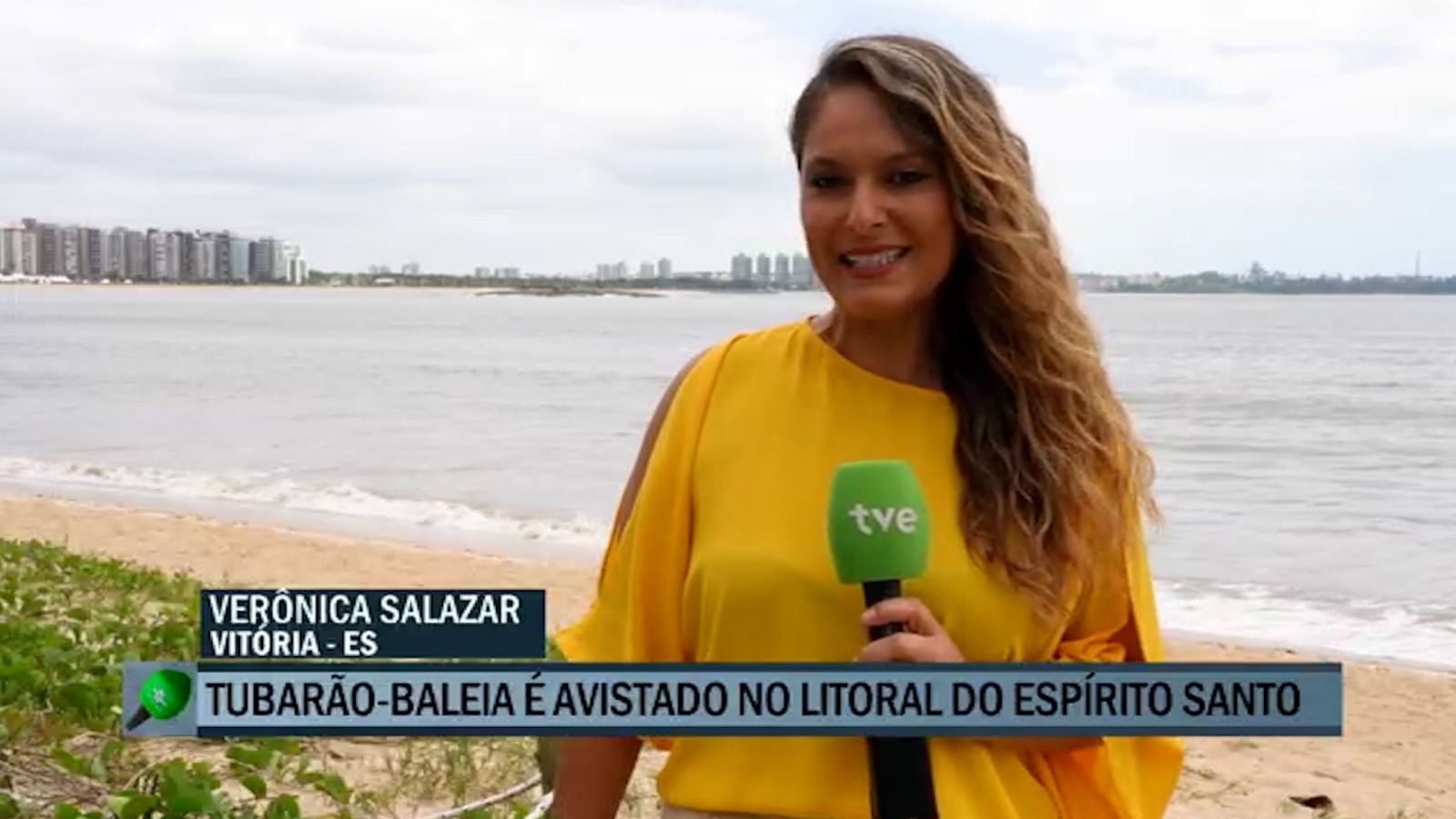 veronica salazar matéria tubarão baleia(1)
